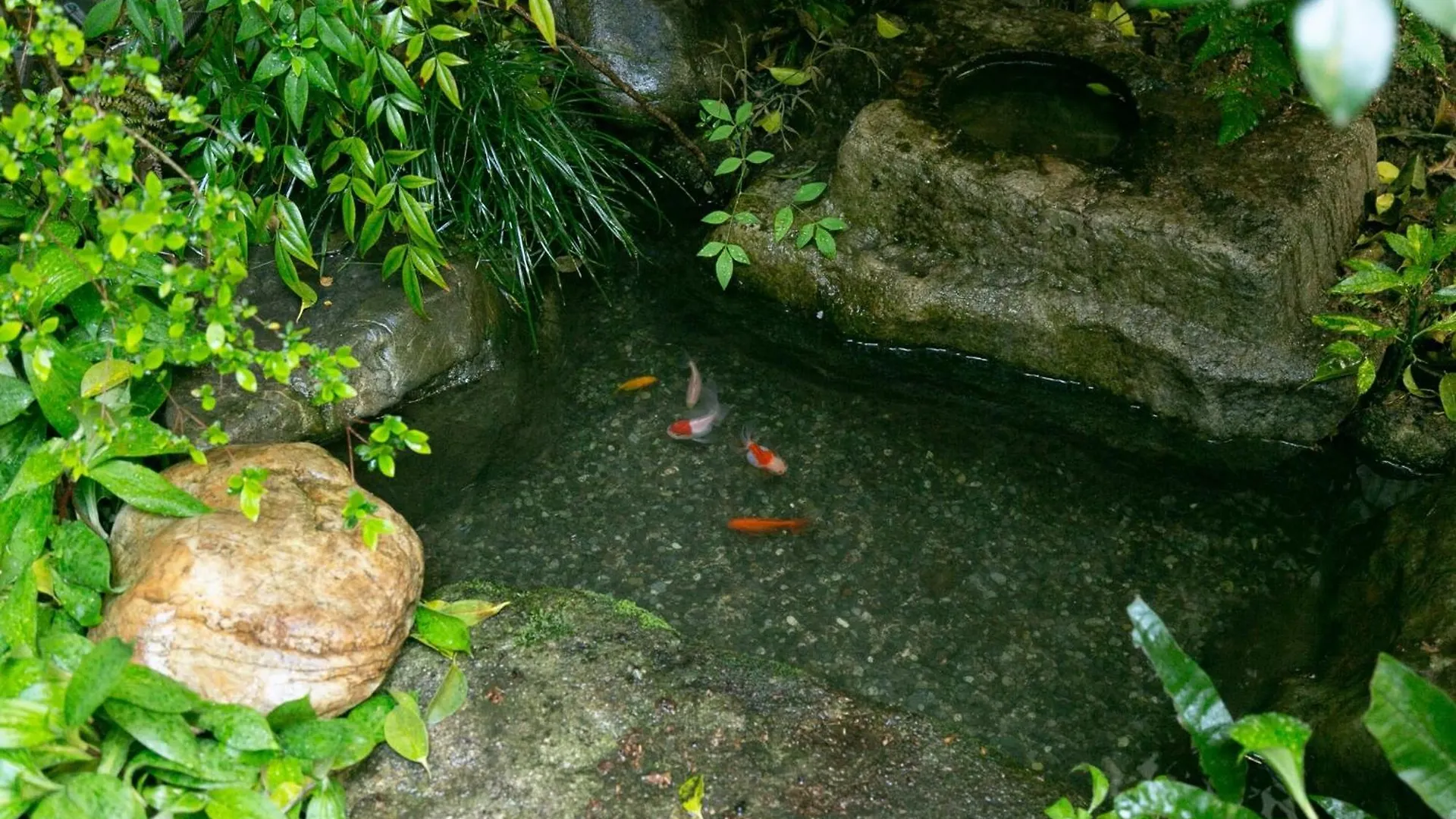 Ryokan Tsukie - Vacation Stay 05180V Kyoto 0*,